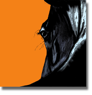 Horse - Yellow Orange Horse - Yellow Orange